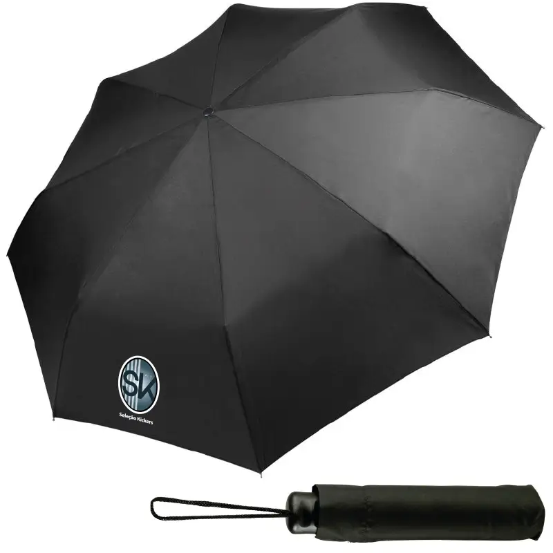 Featured image for “Mini Taschenschirm”